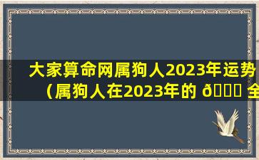 大家算命网属狗人2023年运势（属狗人在2023年的 🐘 全年运势 🌵 ）